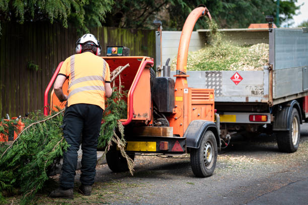 How Our Tree Care Process Works  in  Ransom Canyon, TX